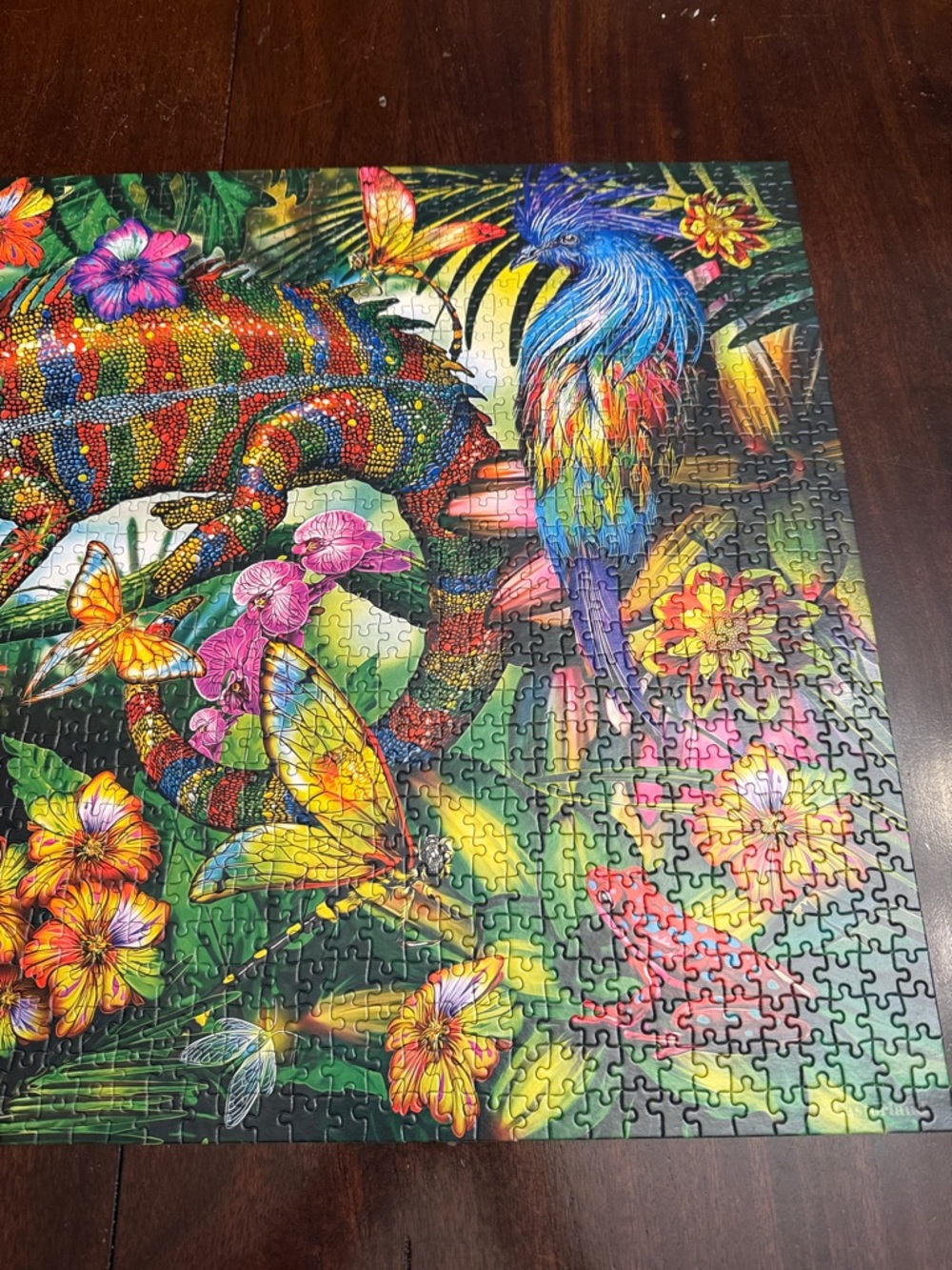 Castorland 1500-Piece Colorful Chameleon Puzzle.  Complete.  Excellent condition - Picture 6 of 8